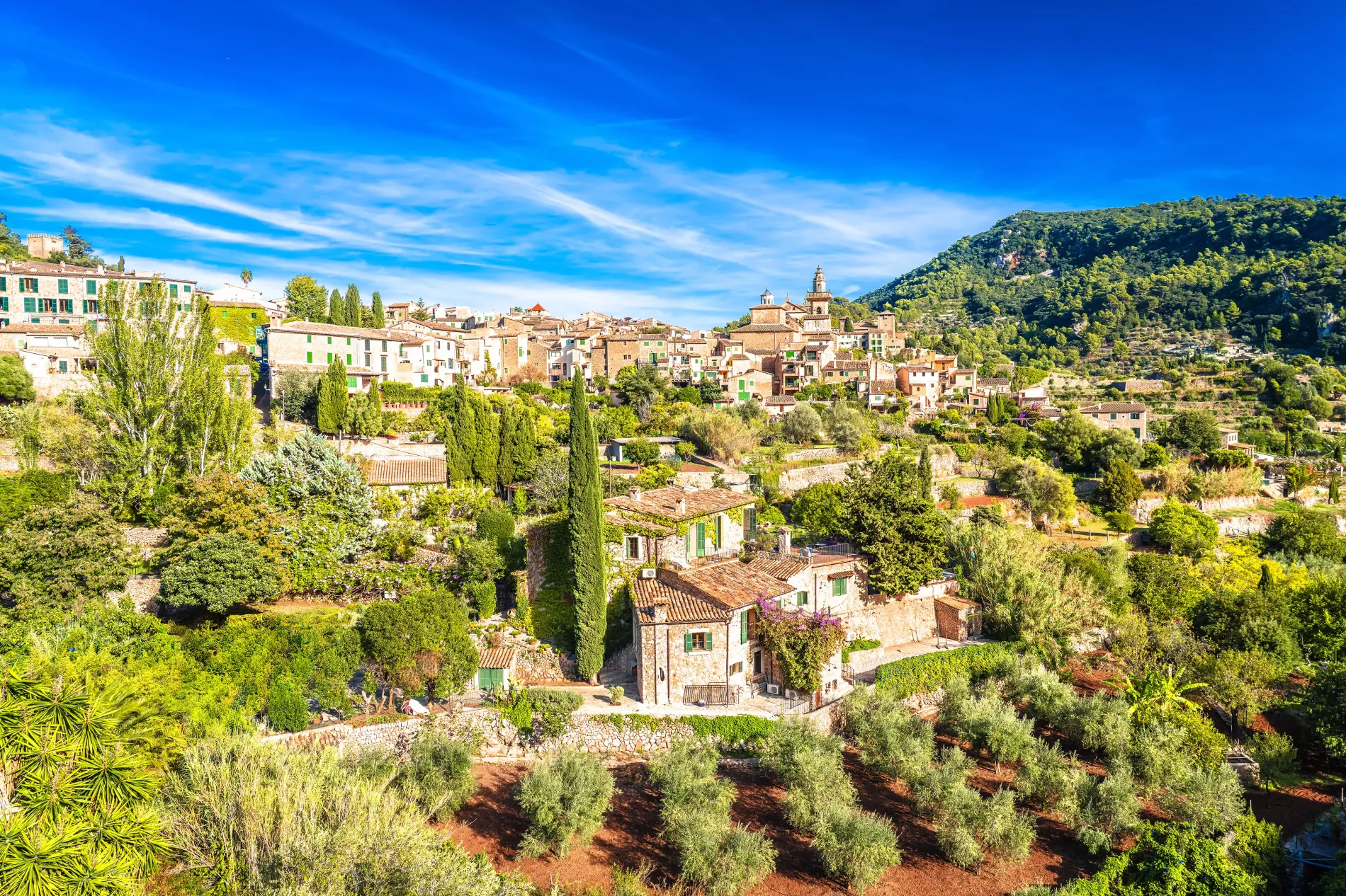 Vineyards, villages, and vibrant life