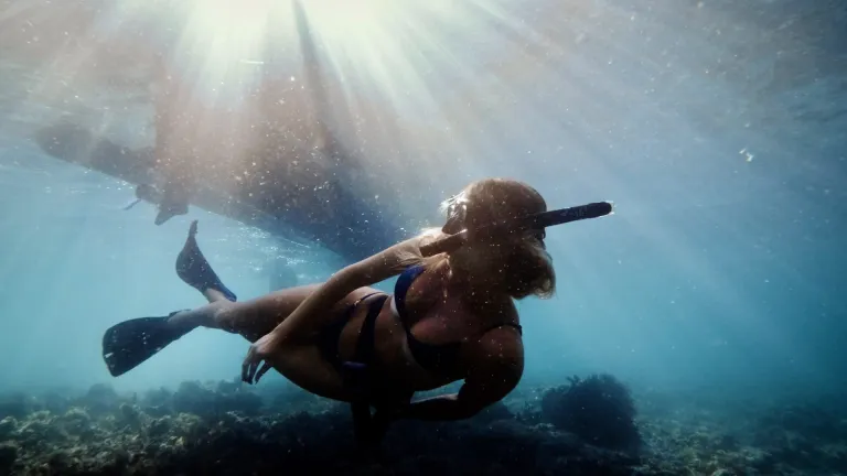 Searching for Whale Sharks