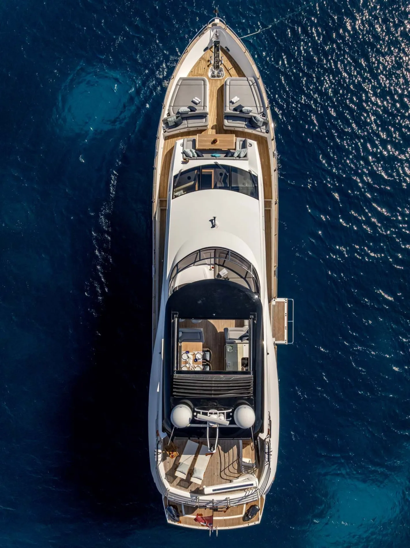 Sunseeker by Name, Sunseeker by Nature.