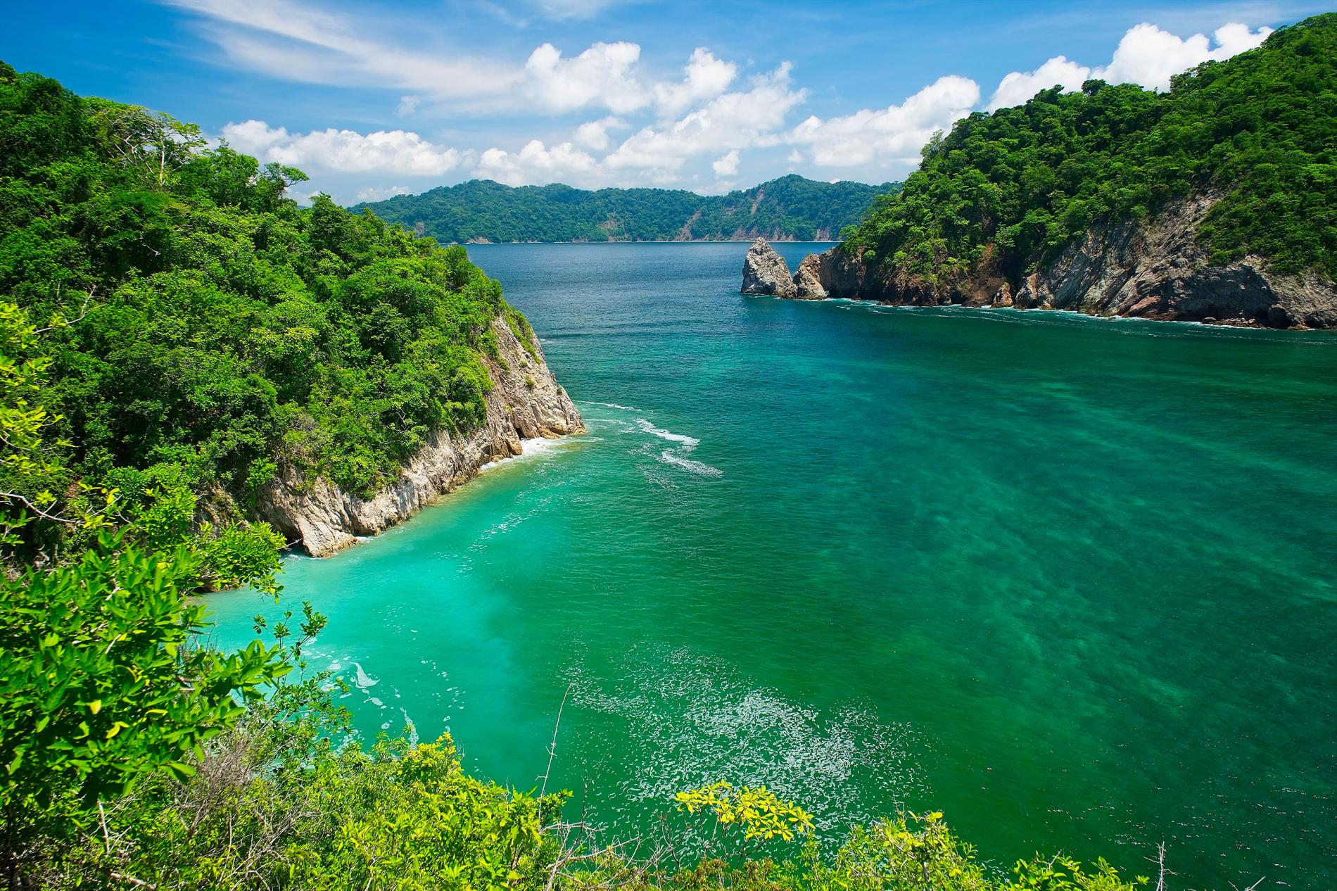 The call of the wild coast