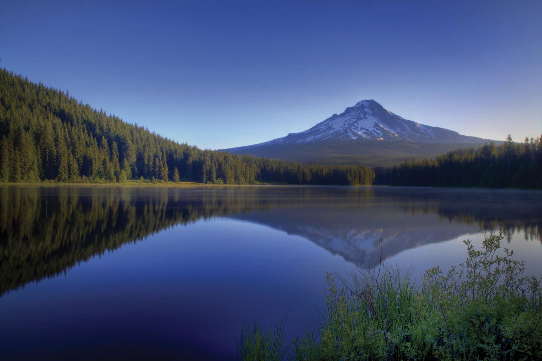 A landscape of reflection