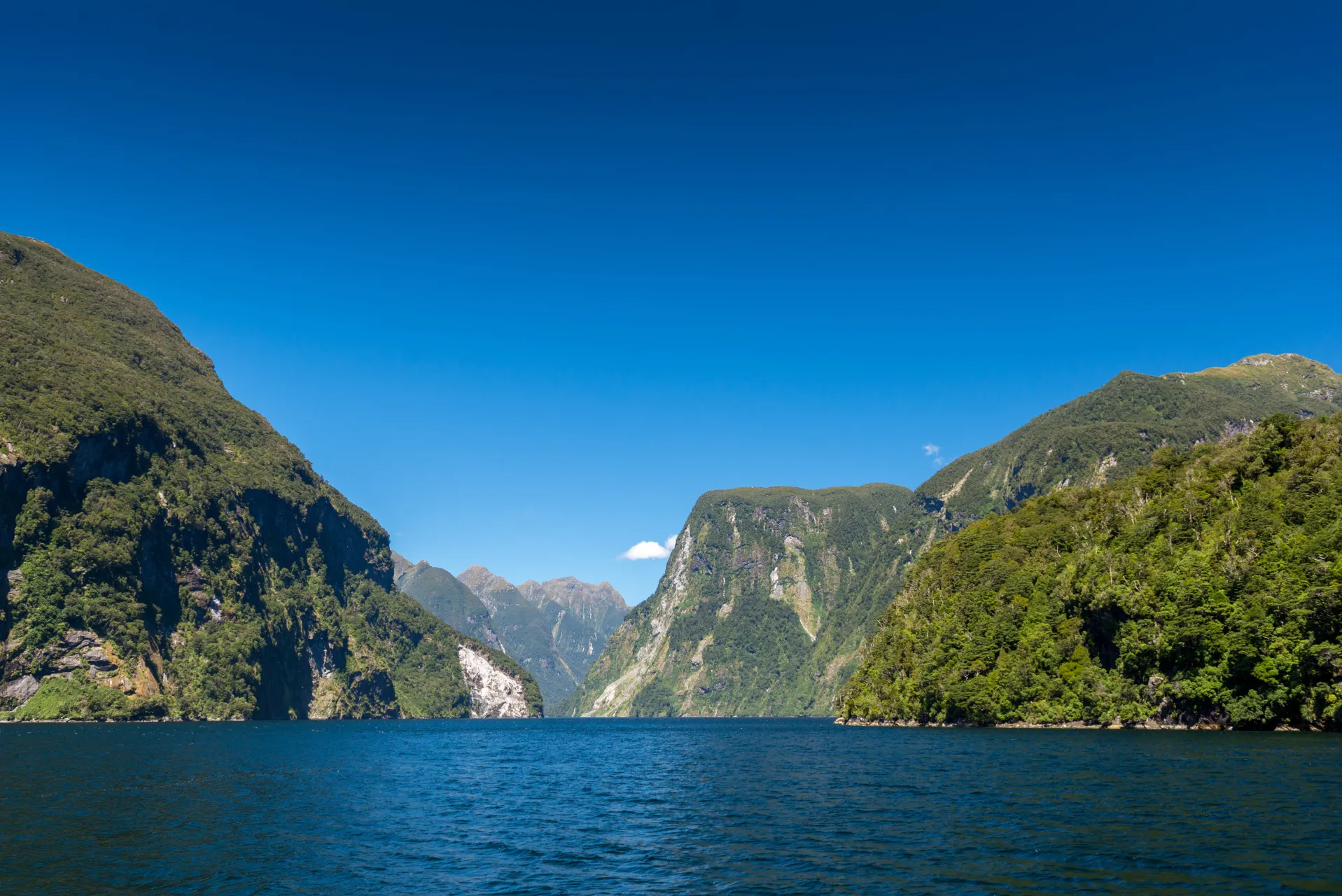 Fiordland
