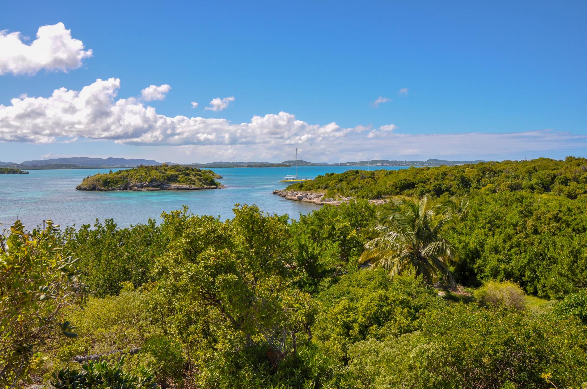 Two islands, one rhythm