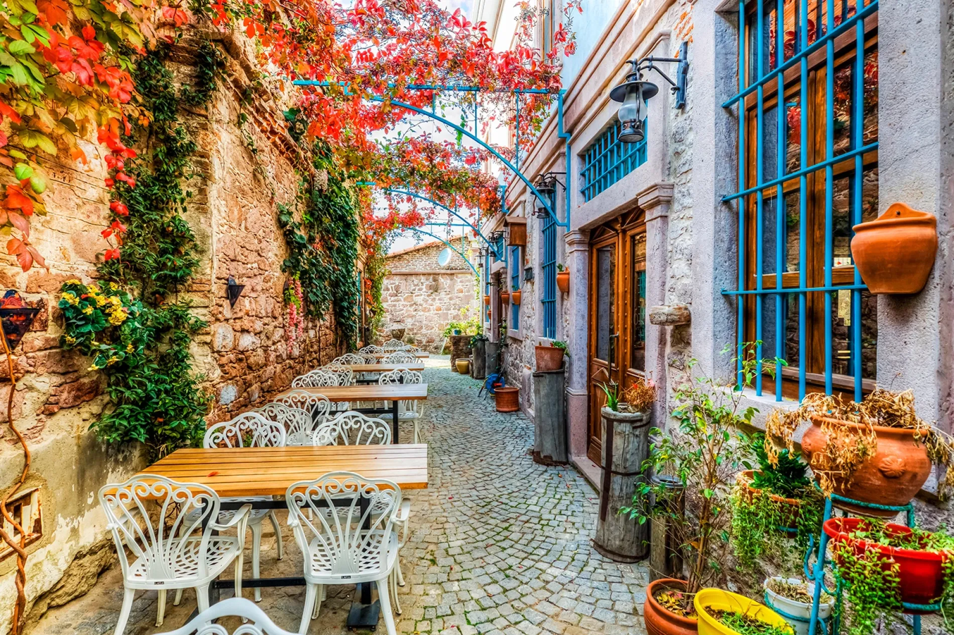 Flavours of the Aegean