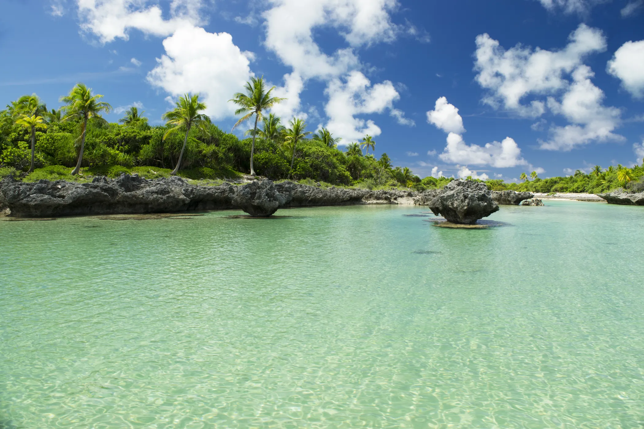 Freedom across the South Pacific
