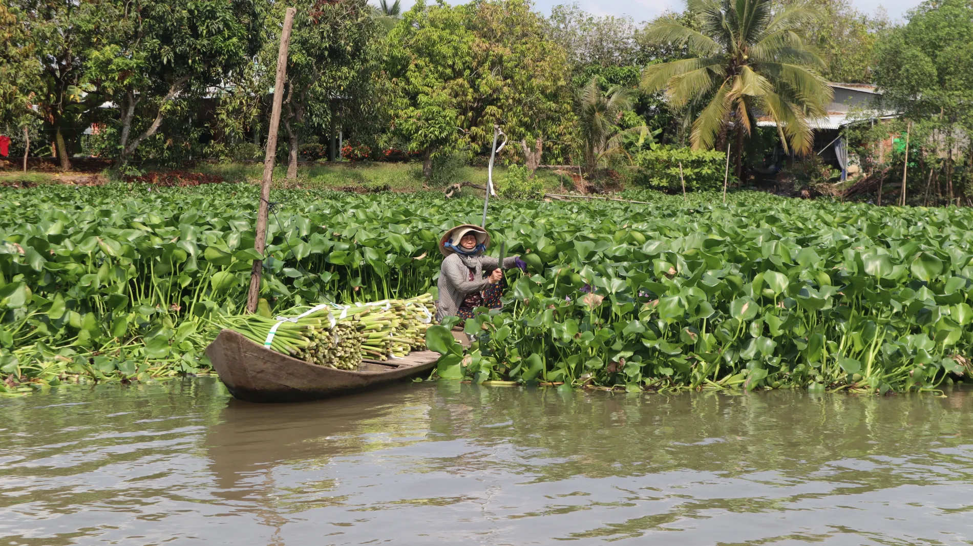 Expert-led excursions