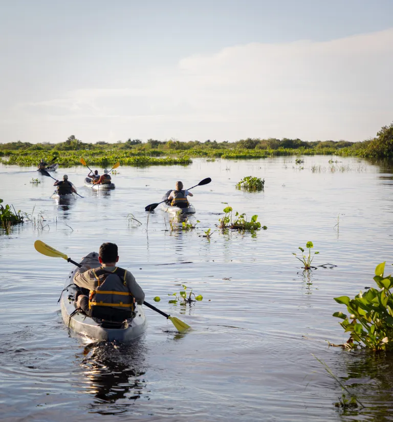 Expert-led excursions