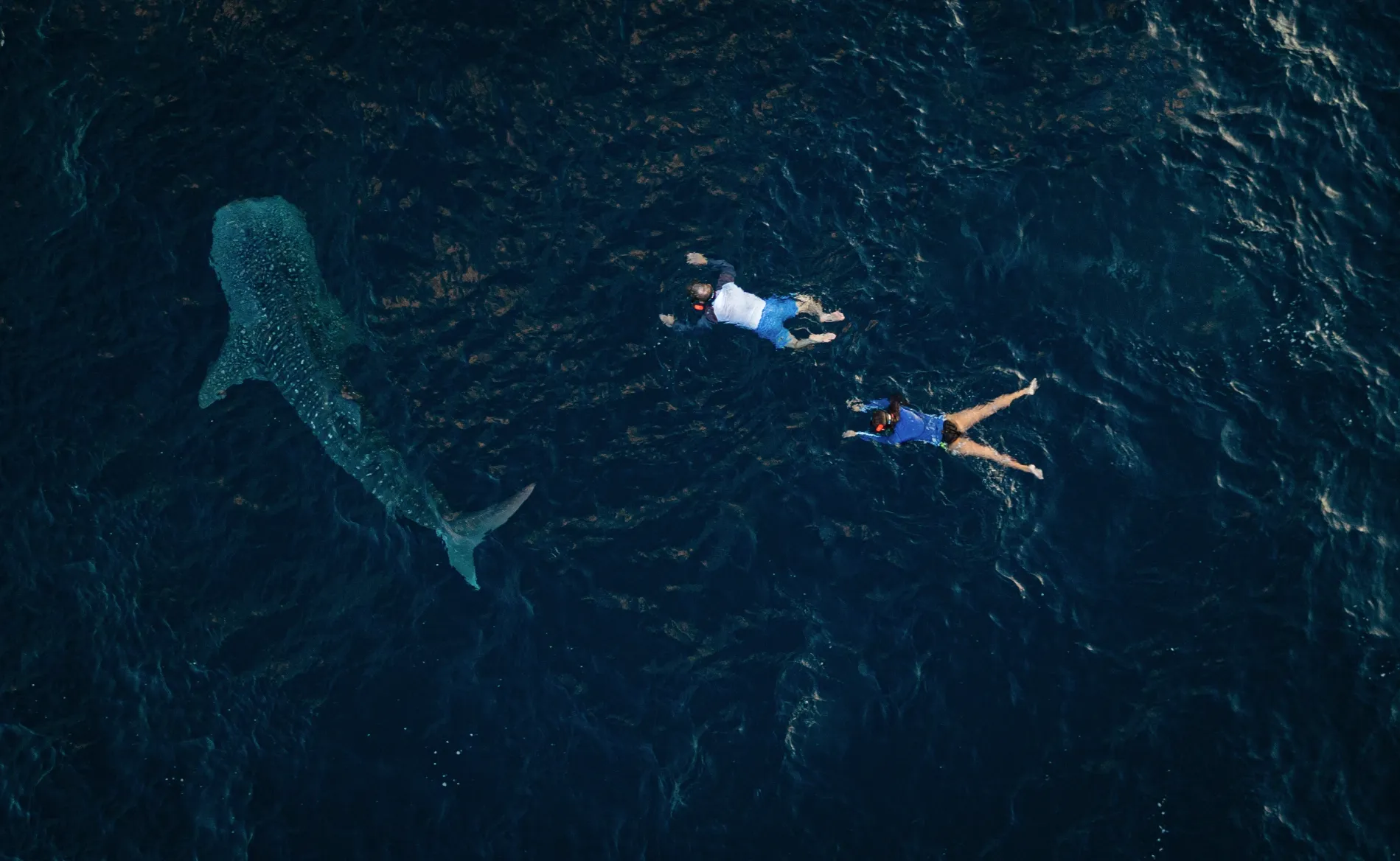 CRUISING INDONESIA ALL YEAR ROUND