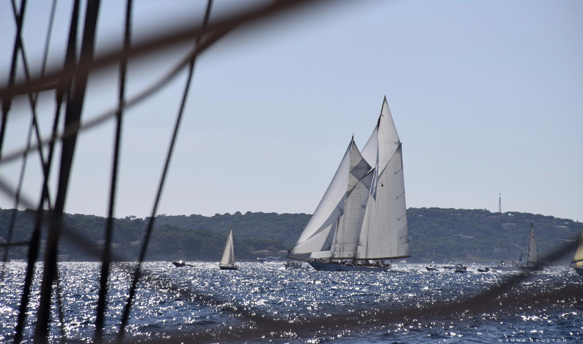 Multi-regatta Winner