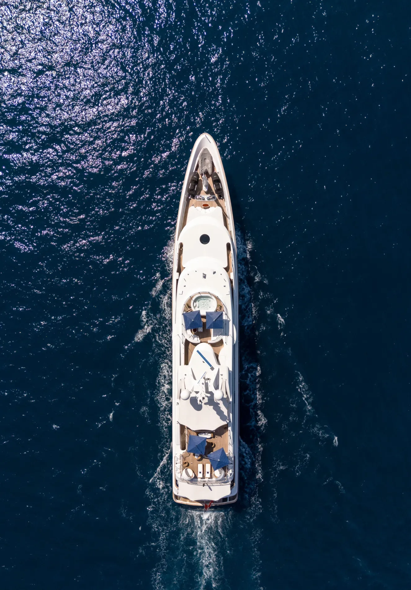 Pedigree Meets Precision.