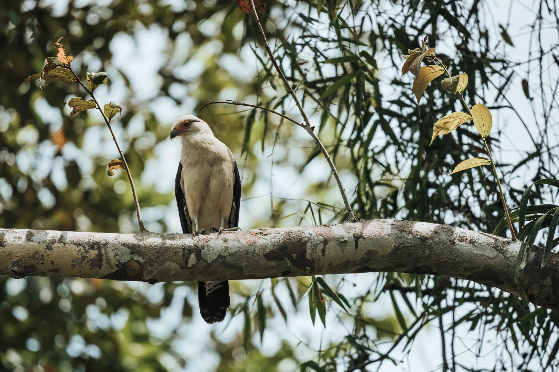 Immersive Exploration