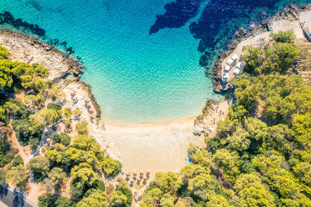 The Mediterranean