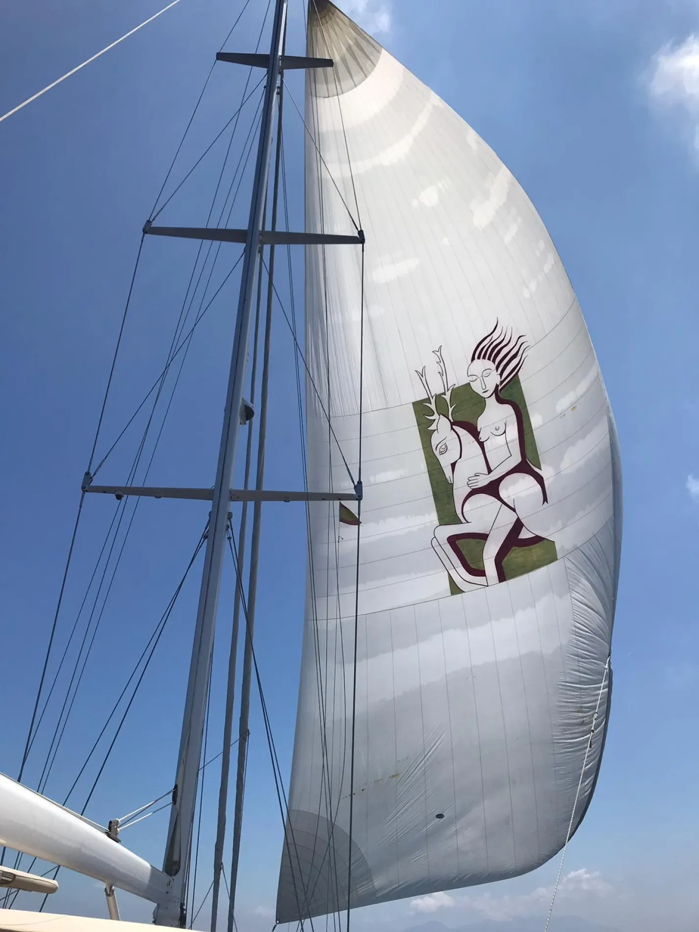 THOUGHROUGHBRED SAILING. OFFSHORE PERFORMANCE.